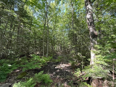 431 Houlton Rd, Island Falls, ME 04747 - photo 6