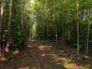 0 Goldmine Rd, Spartanburg, SC 29307 - photo 3