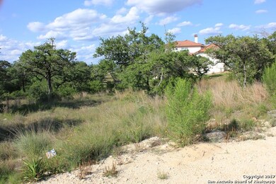 10113 Basilone Ridge, San Antonio, TX 78255 - photo 4
