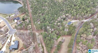 0 Frankies Rd unit 21413440, Vincent, AL 35128 - photo 7