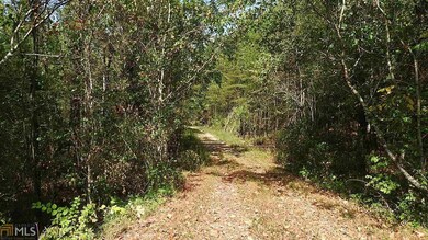 0 Nicklesville Rd NE unit 9637 8073887, Ranger, GA 30734 - photo 2