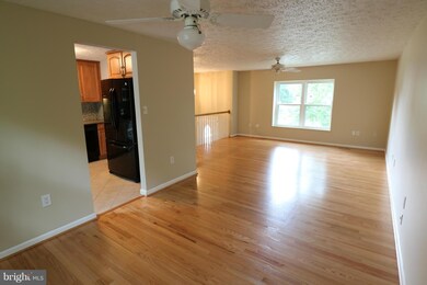 4402 Vantage Ct, Alexandria, VA 22306 - photo 6