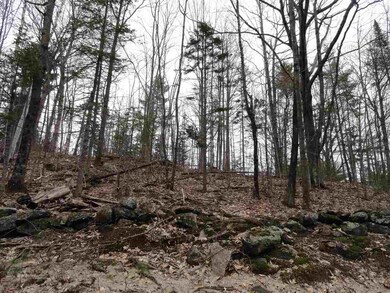 0 Lajoie Rd unit 4745549, Wilmot, NH 03287 - photo 5