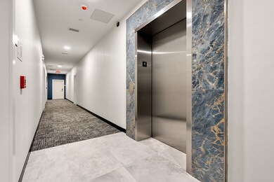16 Taber St unit 403, Boston, MA 02119 - photo 6