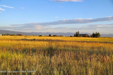 ONeil Saddlehorn-7397