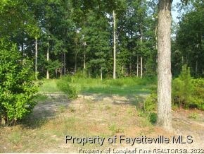 234 Forest Creek Dr, Fayetteville, NC 28303 - photo 4