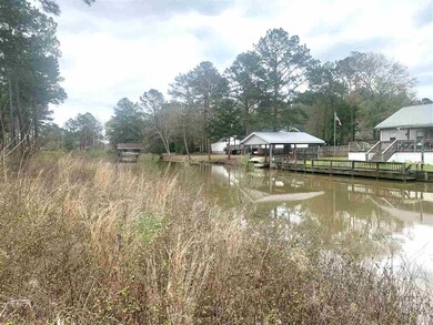 000 Magnolia Pointe Dr, Gantt, AL 36421 - photo 5