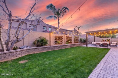 Backyard Oasis