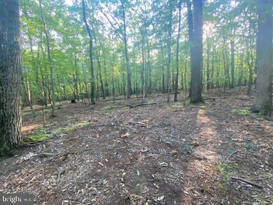0 Pioneer Trail unit WVMO2000202, Great Cacapon, WV 25422 - photo 2