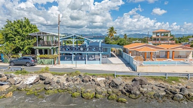 AA #35 Sector Villa Verde Bo Playa de Salinas, Salinas, PR 00751 - photo 2