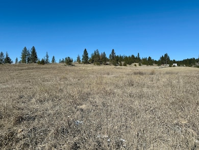 9.94 ac w/all utilities in Kettle Falls