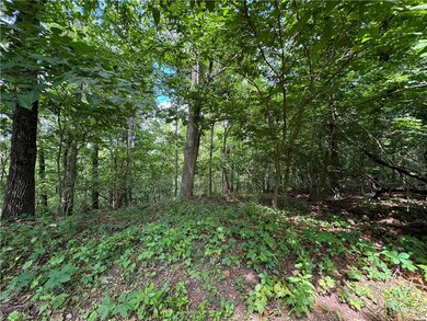 Lot 26 Ayton Ln, Bella Vista, AR 72714 - photo 5