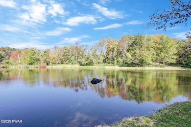 100 Spring Hill Rd, Moscow, PA 18444 - photo 7