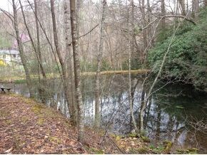 Pond