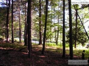 Level and slightly sloped wooded lot with mountain