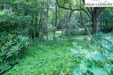 2691 Poplar Grove Rd S unit 4, Boone, NC 28607 - photo 4