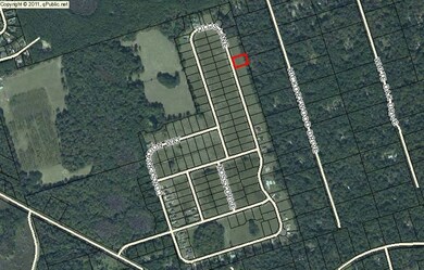 304 Tillis Ln, Crawfordville, FL 32327 - photo 5