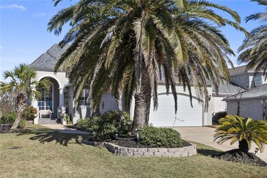 Beautiful palm trees and landscaping in front yard