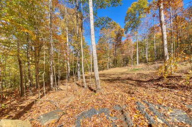0 Pebble Ridge Rd, Spruce Pine, NC 28777 - photo 7