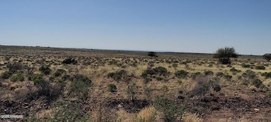 6232 S Prairie Grass Ln unit 294, Williams, AZ 86046 - photo 3