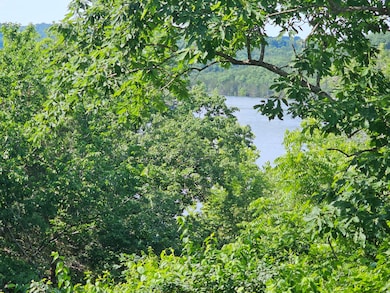 27045 Hickory Dr, Eagle Rock, MO 65641 - photo 2