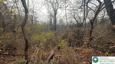 0 W Lafayette St, Easton, PA 18042 - photo 2