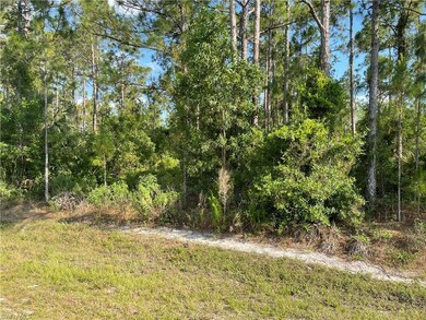 0 29th Ave Everglades Blvd unit 225082390, Naples, FL 34120 - photo 4