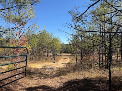 0 Backbone Church Rd unit 25581317, Gordo, AL 35466 - photo 2