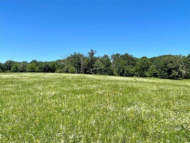 TBD Farm To Market Road 1567 unit Tract 3, Como, TX 75431 - photo 5