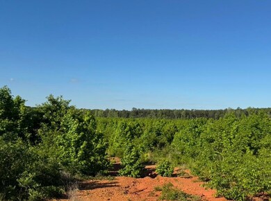 30a Bowie Rd, Troy, SC 29848 - photo 5