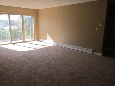 586 Fairway View Dr unit 3B, Wheeling, IL 60090 - photo 2