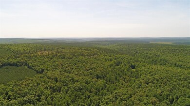 View from bluff