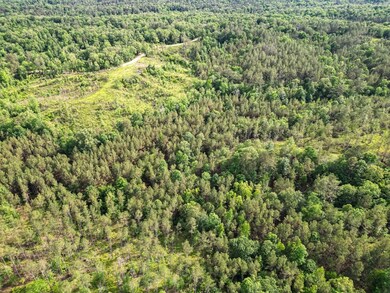 2 Cemetery Rd, Ecru, MS 38841 - photo 7