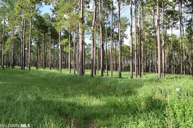 32534 County Road 64 Extension, Robertsdale, AL 36567 - photo 3