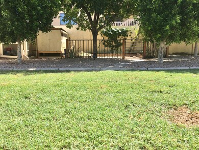 Back yard Low shot