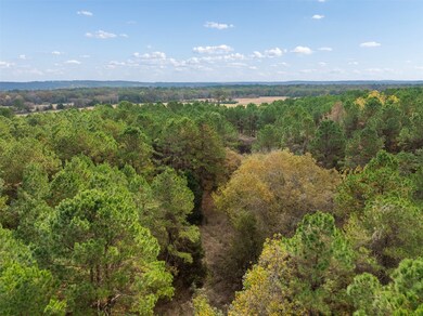 TBD Fm 322, Elkhart, TX 75839 - photo 7