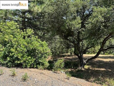 12064 Hillhurst Cir, Groveland, CA 95321 - photo 3