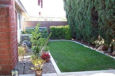 BACKYARD WITH GRASS AND SURROUNDED BY LOVELY PLANT