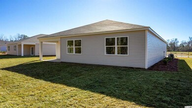 10023 Hamilton Branch Loop unit Lot 726 - Aria A, Myrtle Beach, SC 29579 - photo 3