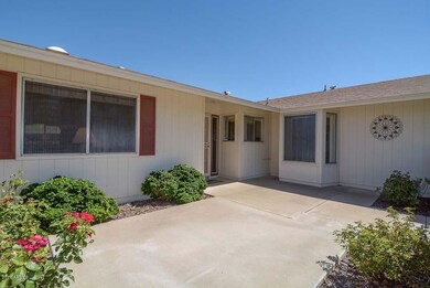 Courtyard-Rose Garden