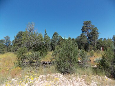 DSCN0336
