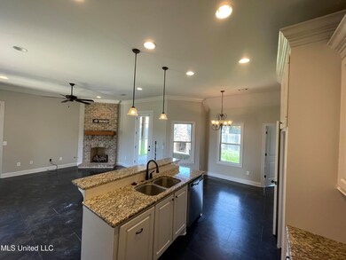 225 Greenfield Crossing, Brandon, MS 39042 - photo 3