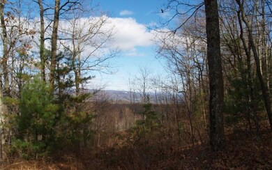 Additional View