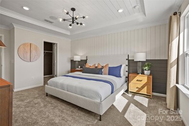 REPRESENTATIVE PHOTO