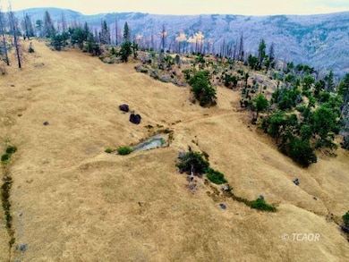 1881 Marshall Rock, Ruth, CA 95526 - photo 3