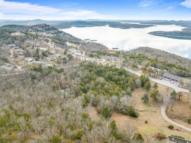 DJI_0019