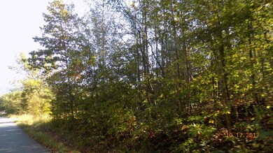 Talley Rd4