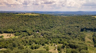 0 Pug Gayer Rd, Fayetteville, AR 72703 - photo 7