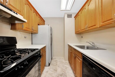 Village Mall at Hillcrest unit 5 G, Flushing, NY 11367 - photo 7