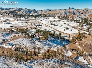 13469 Old Timer Trail, Woodland Park, CO 80863 - photo 5